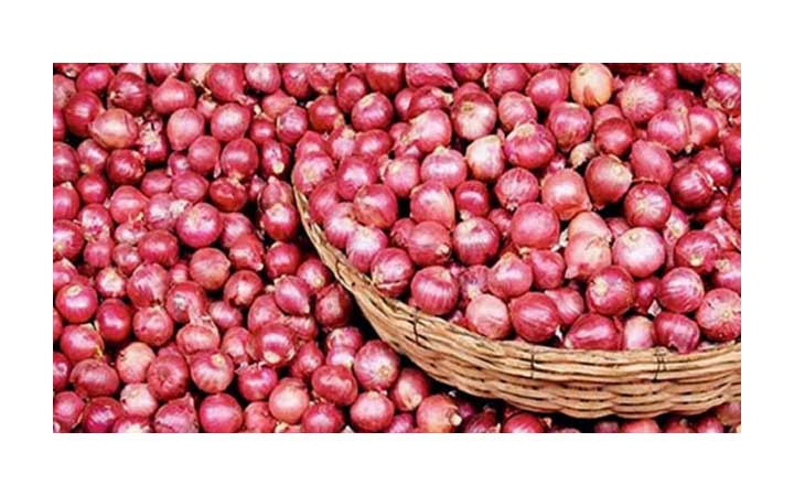 প্রণোদনায় রেকর্ড পরিমাণ পেঁয়াজ উৎপাদন